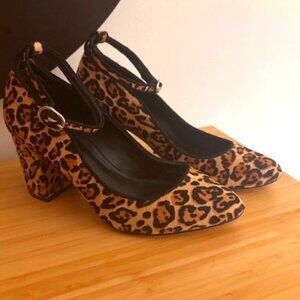 WHBM Bethenny Calf Hair Leopard Print Chunky Heels Pumps, Size: 8.5
